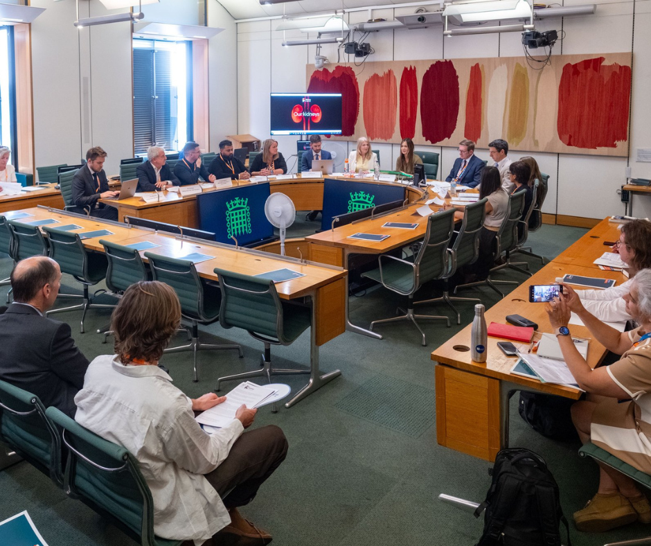 Several colleagues visited parliament in May