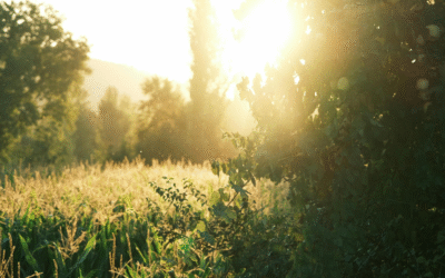 June 2026 Newsletter